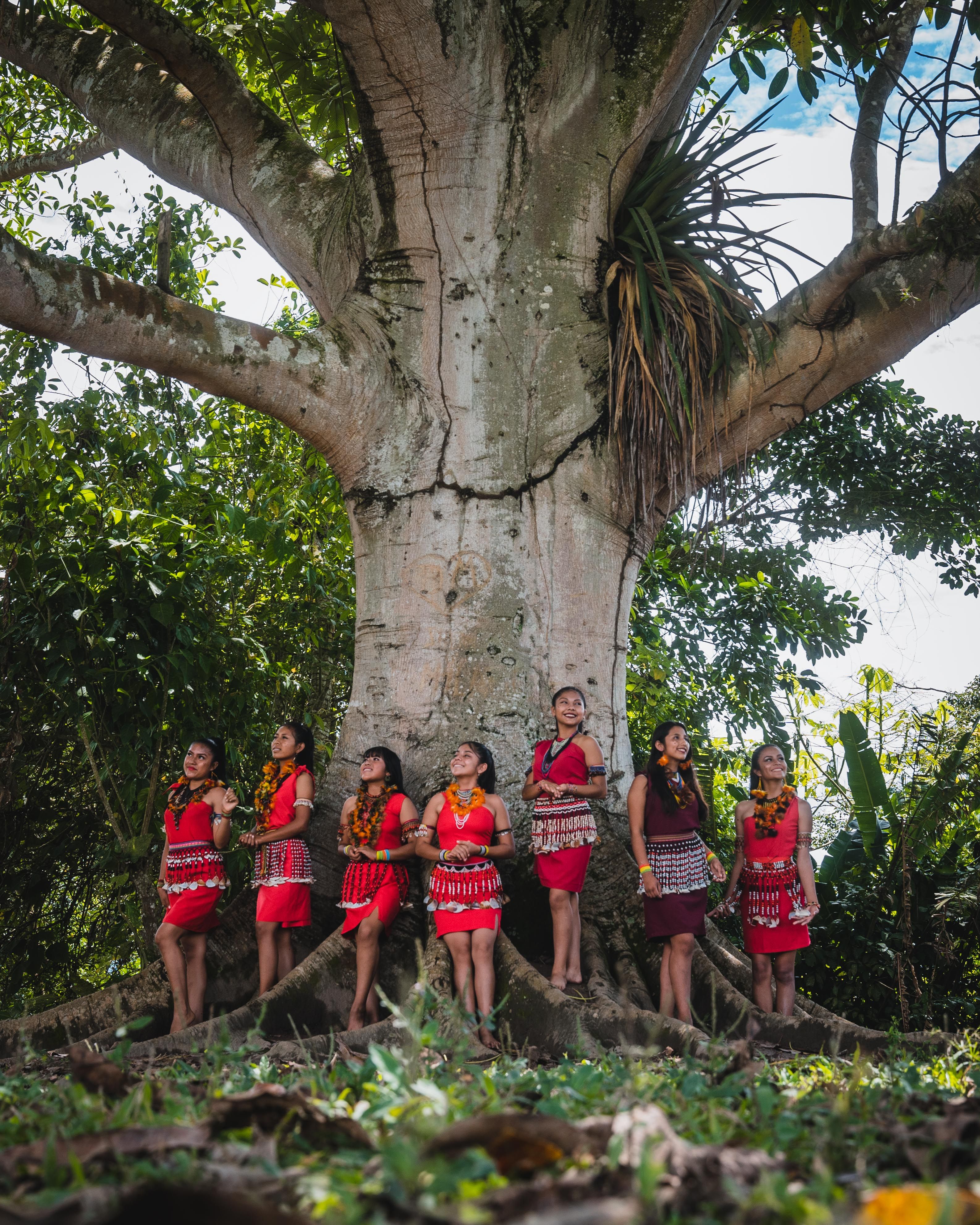 Een groep vrouwen staat samen onder een grote boom